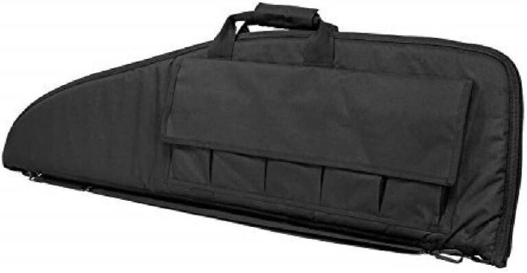 VISM Gun Case Review